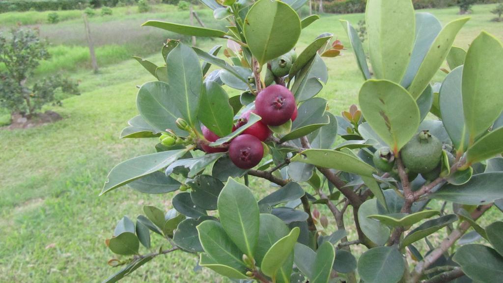 Agroturismo Finca Sermide Cachi Luaran gambar